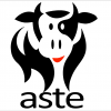 aste aste
